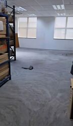 11 Changi South Street 3 (D16), Factory #589669441